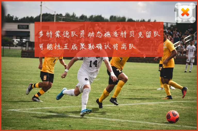 多特蒙德队员动态施洛特贝克留队可能性五成聚勒确认将离队