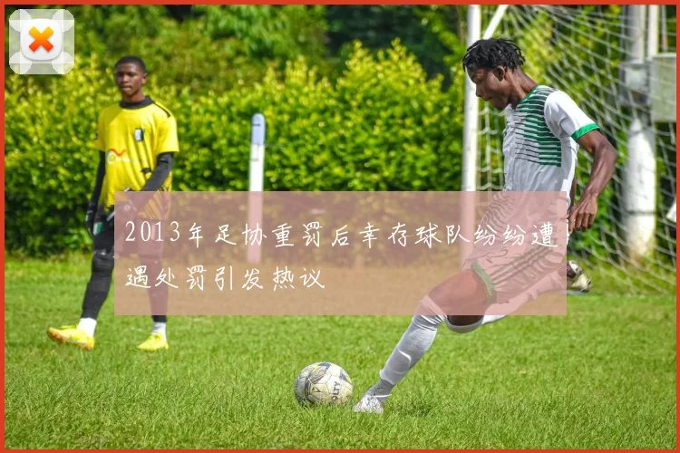 2013年足协重罚后幸存球队纷纷遭遇处罚引发热议